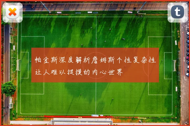帕金斯深度解析詹姆斯个性复杂性让人难以捉摸的内心世界
