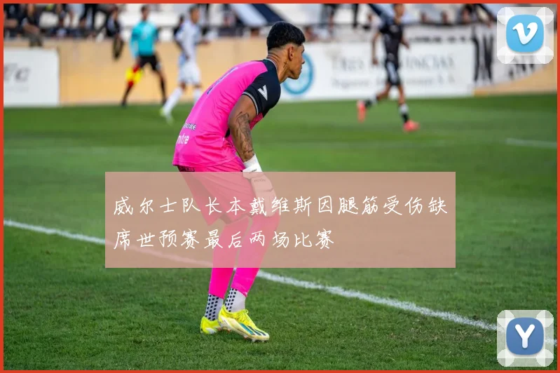 威尔士队长本戴维斯因腿筋受伤缺席世预赛最后两场比赛